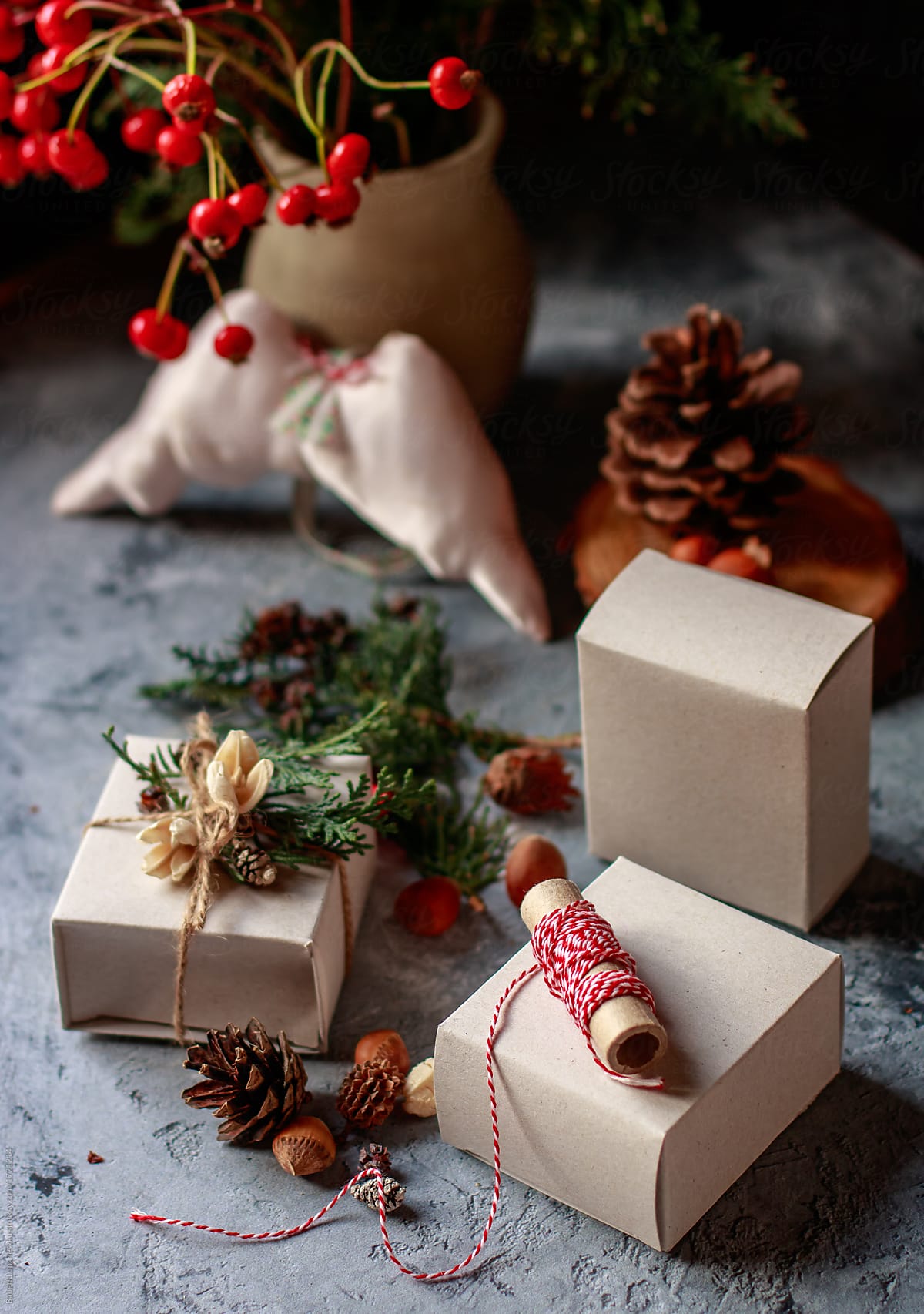 Christmas Packaging By Stocksy Contributor Babett Lupaneszku Stocksy christmas-packaging-by-stocksy-contributor-babett-lupaneszku-stocksy