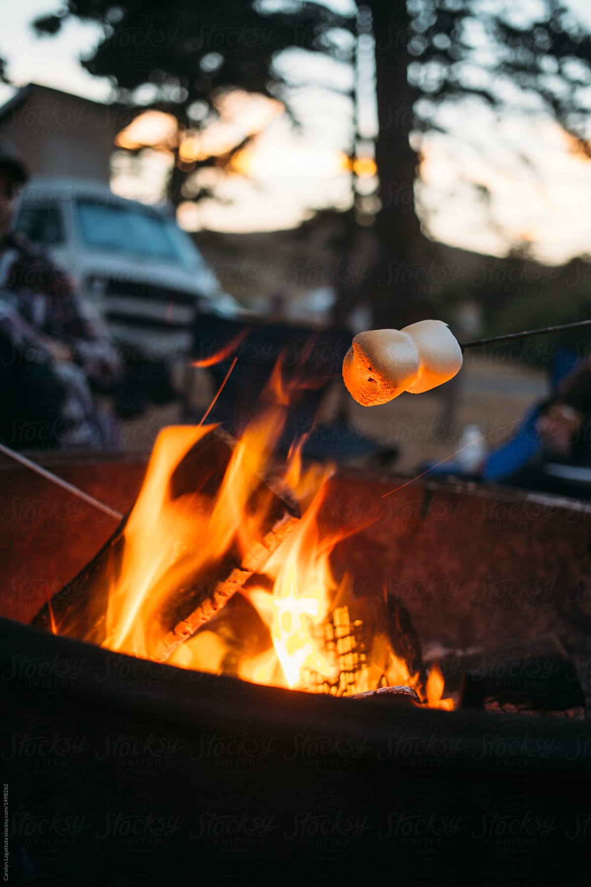 Roasting marshmallows by the campfire