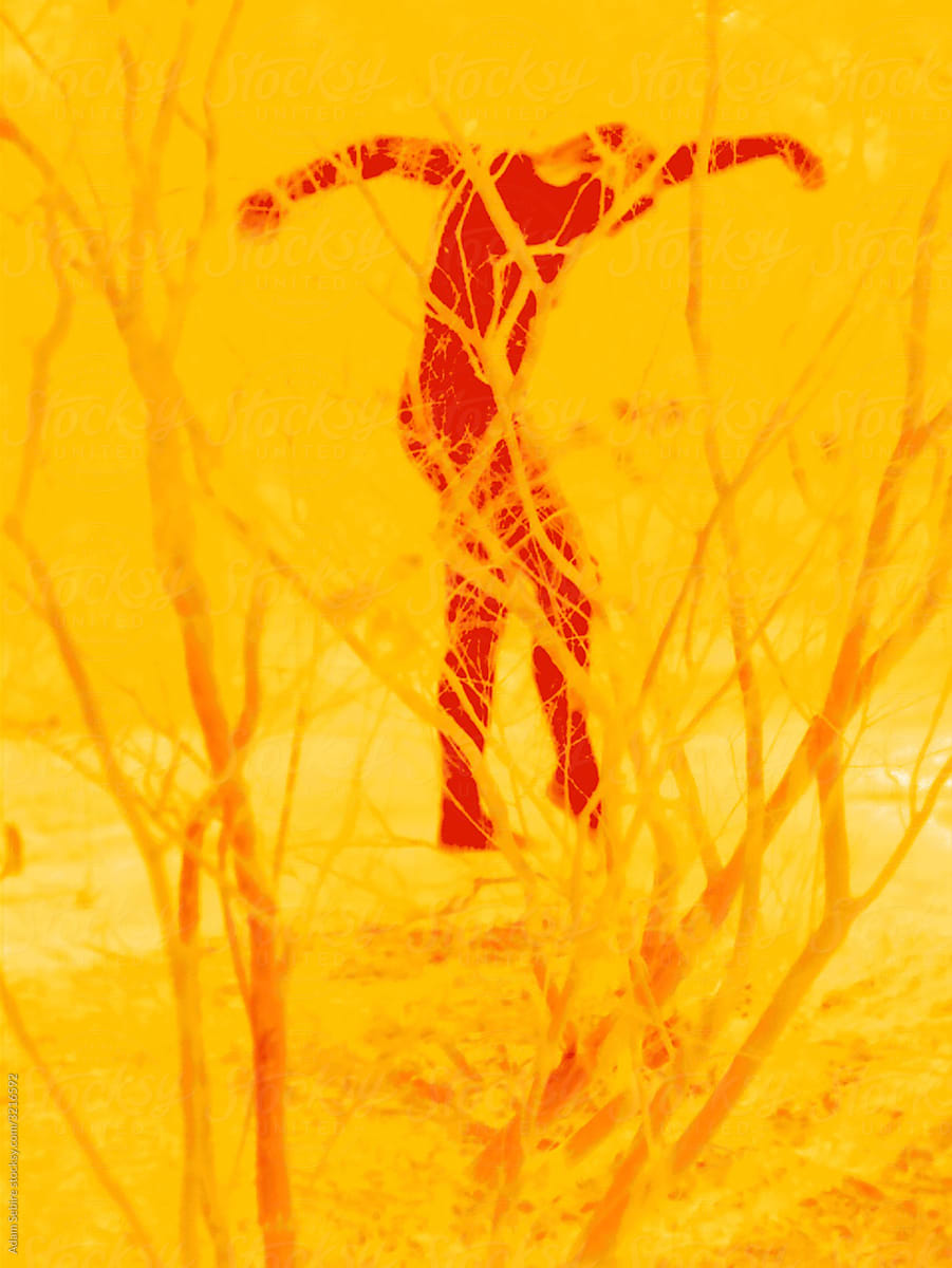 Nude Dancers Body In Forest Human Forms In Nature Thermal Imaging By Stocksy Contributor 
