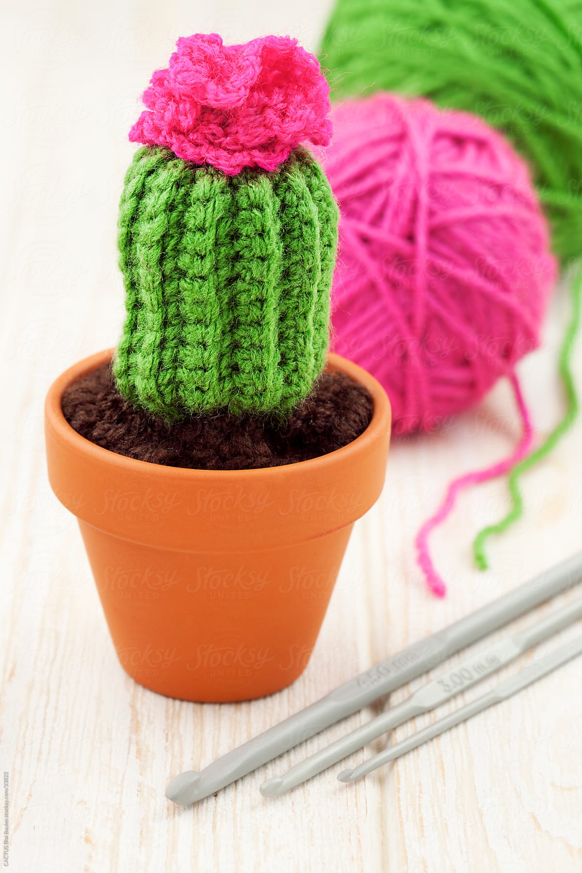Amigurumi, handmade cactus.