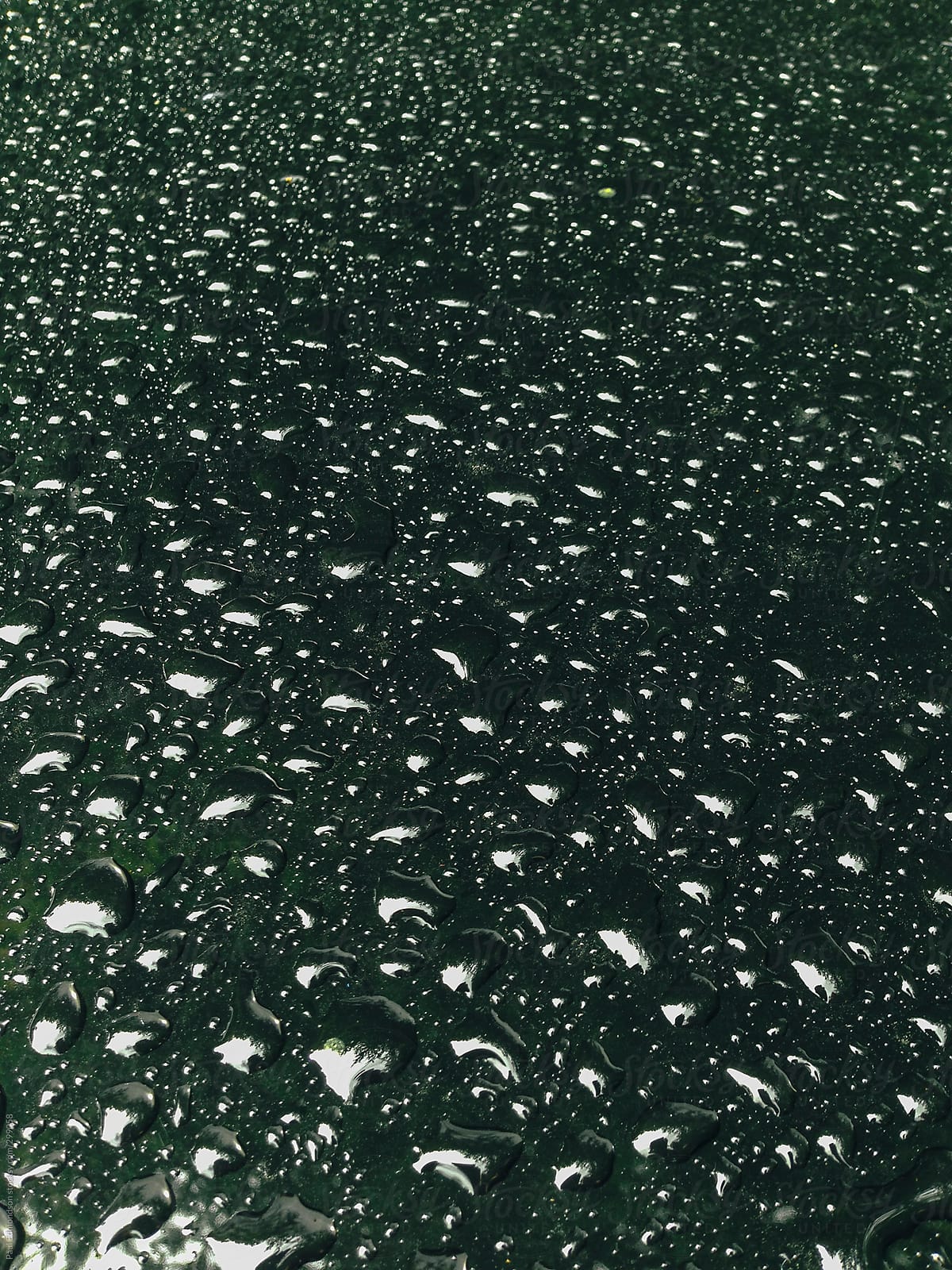 Water drops on hood of car, closeup