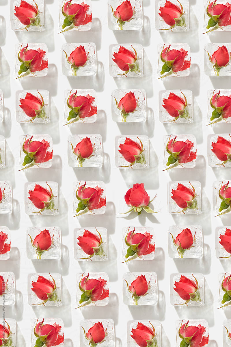 Pattern of ice cubes with red roses