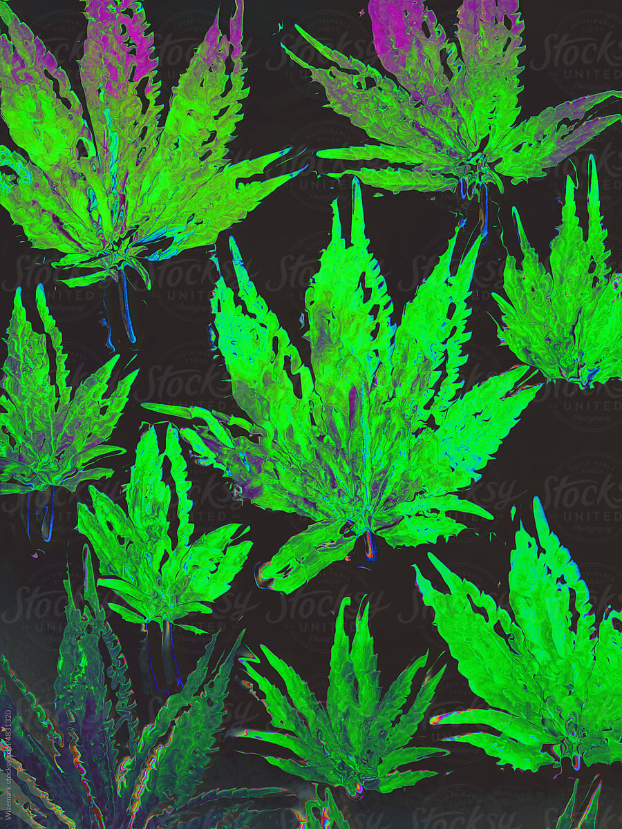 Artistic representation of marijuana, cannabis leafs background