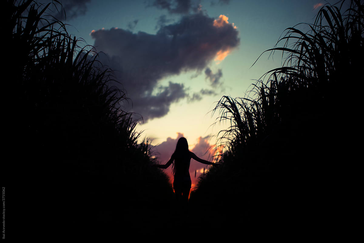 Girl silhouette walking at sunset
