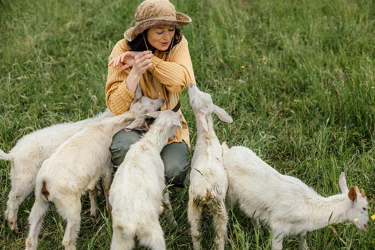 Funny lifestyle shot with a farmer\'s wife and young goats