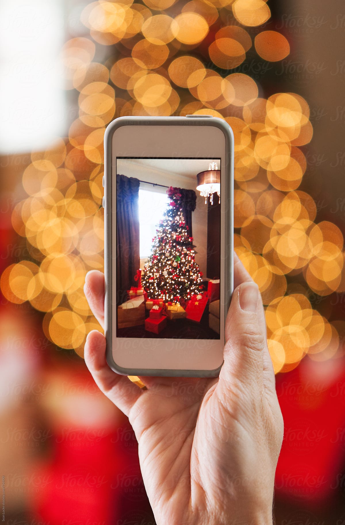 Christmas: Photographing Tree On A Cell Phone
