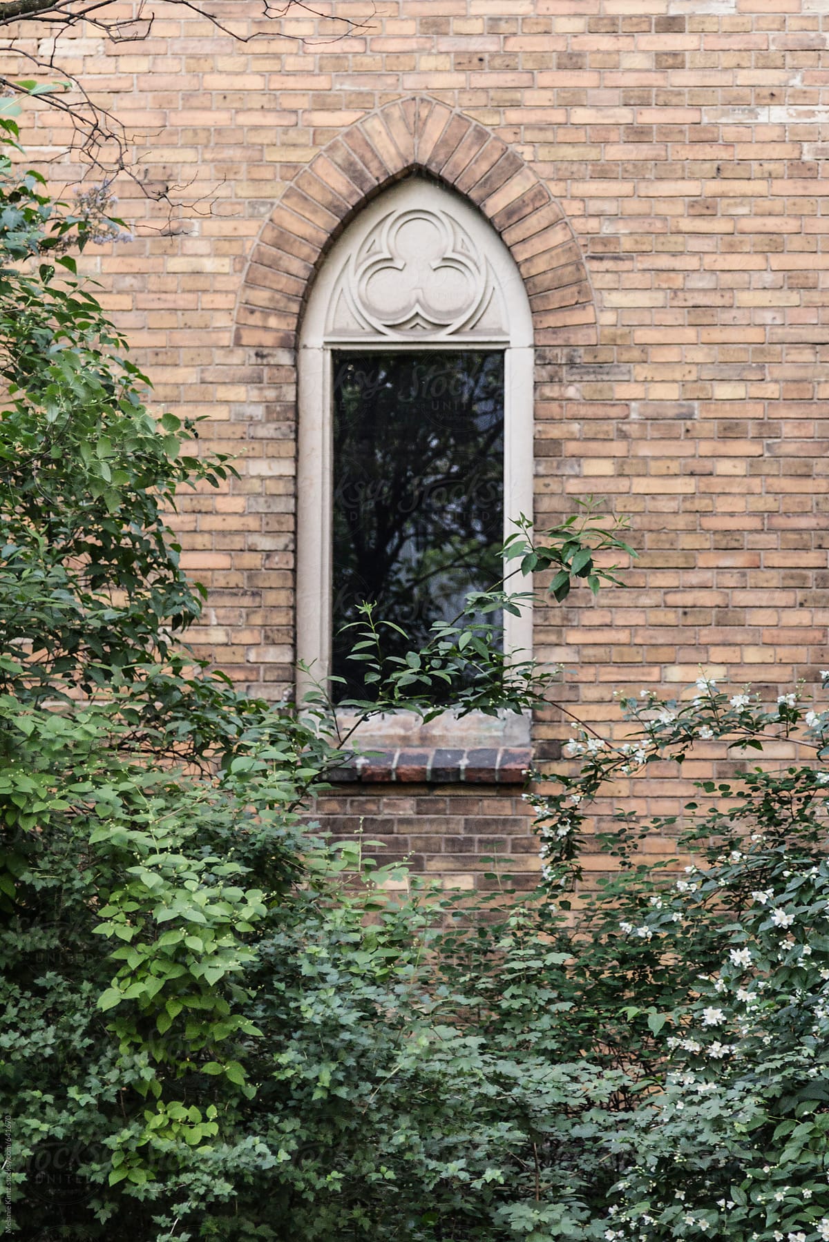 Neo-gothic window of a church behind bushes and trees