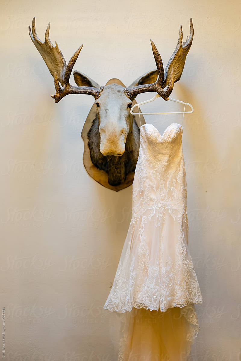 A Bride\'s Dress Hangs off of a Moose