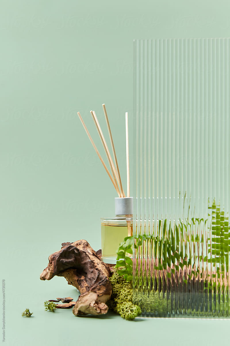 Glass aroma diffuser with wood and green fern.