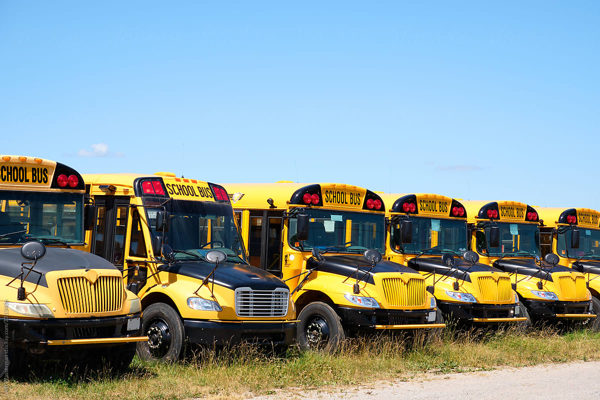 School Buses in Row