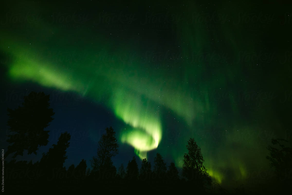 Amazing Northern lights over dark forest