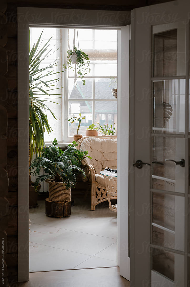Interior of cozy room with plants