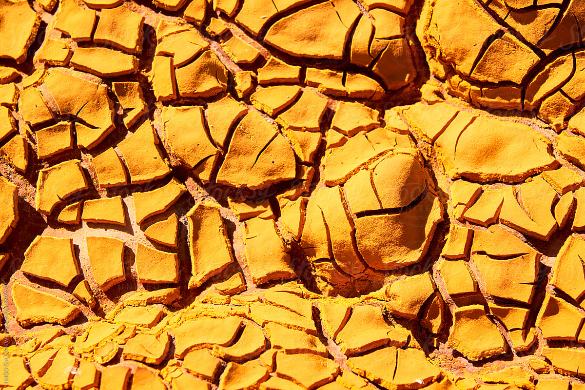 Cracked surface of dry ground in sunlight