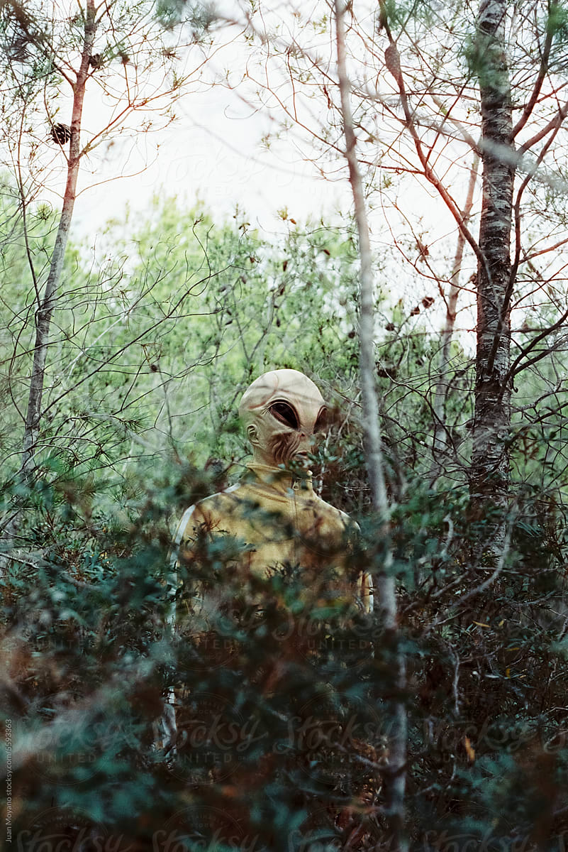 alien in the woods, 35mm film