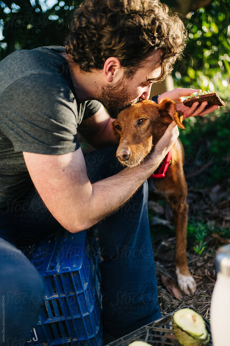 Male owner kissing loyal dog in farmland