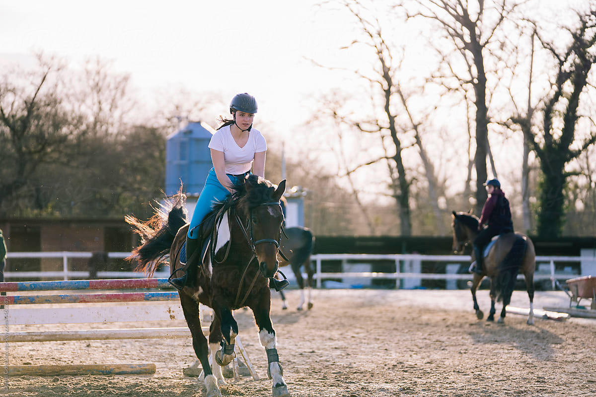 Active female equestrian riding purebred horse on arena