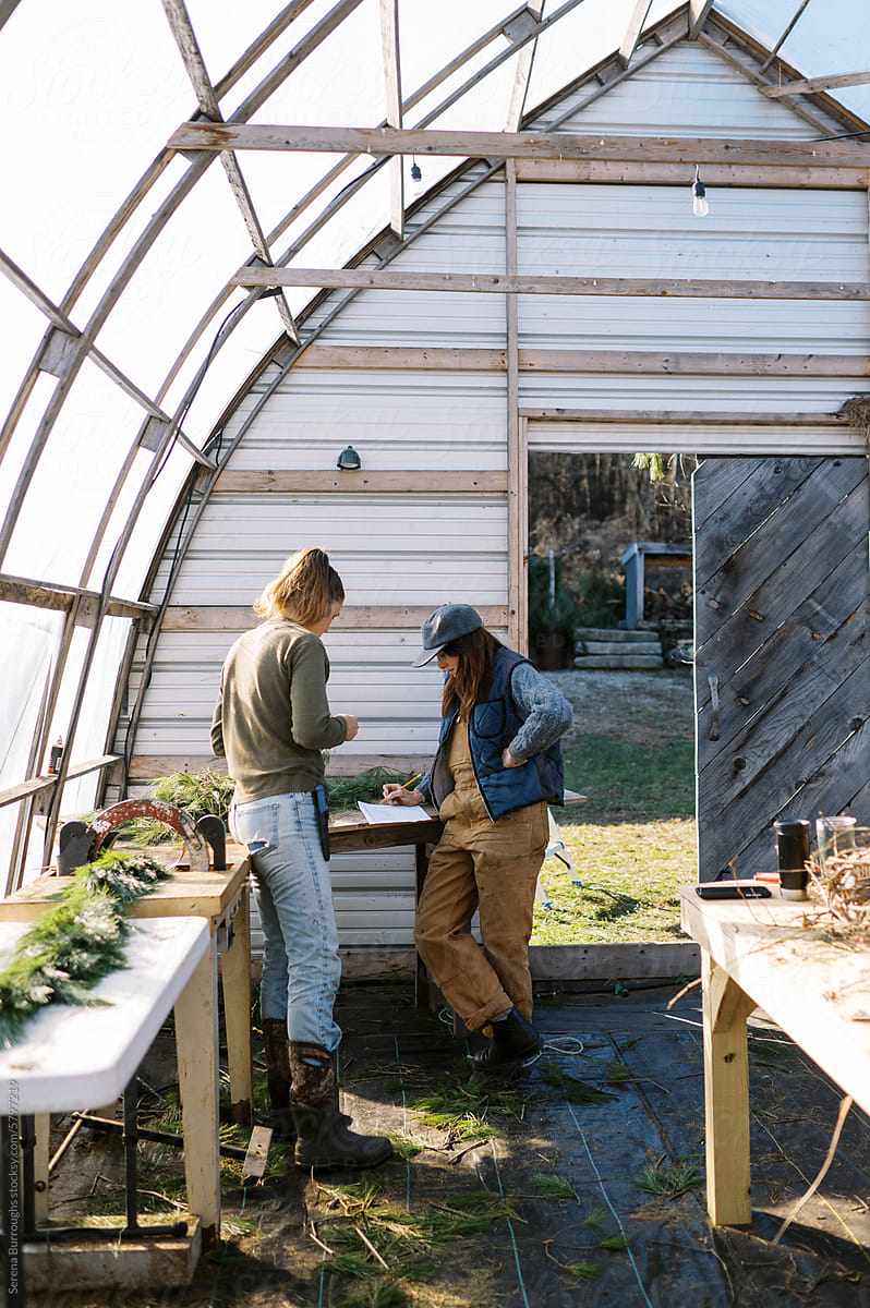 female farm workers in greenhouse working together