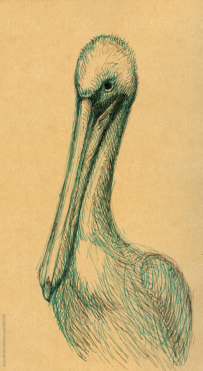 Stork Ink Drawing Head