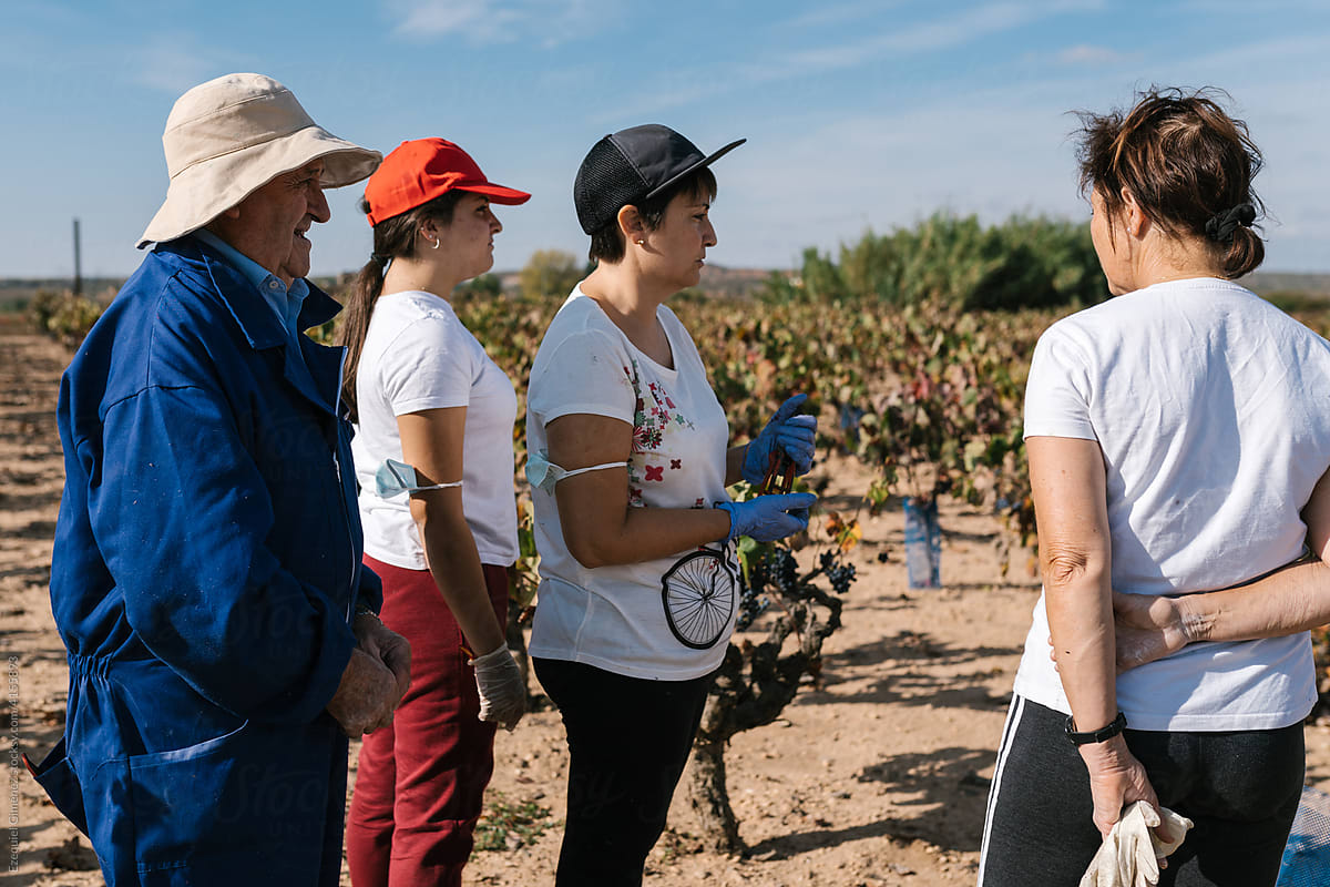 Group of farmers in vineyard