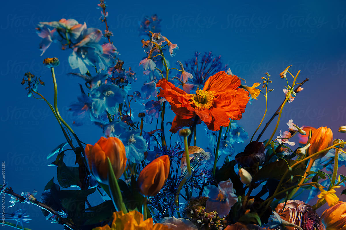 "still life of vibrant wildflowers" by Stocksy Contributor "THAIS RAMOS VARELA"