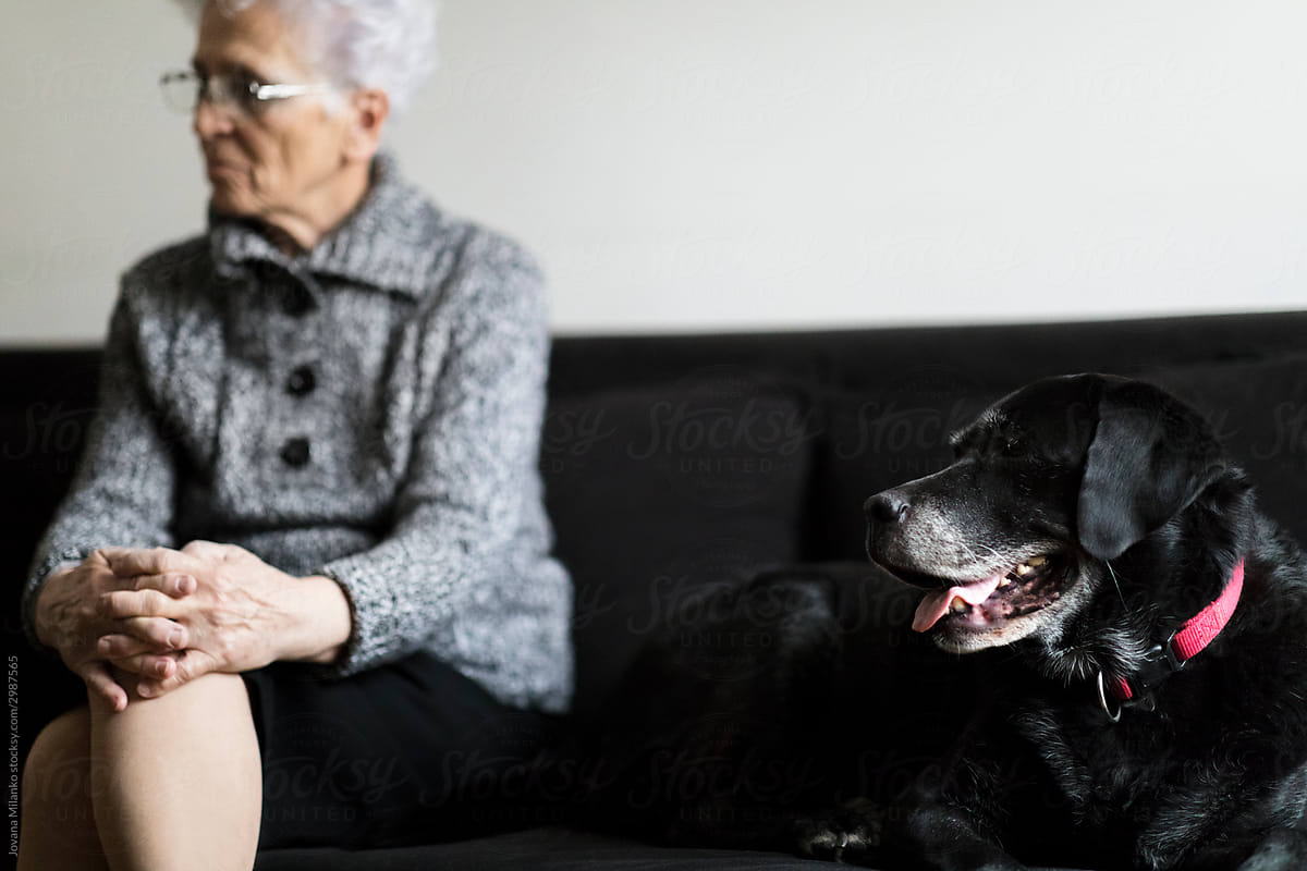 Senior Woman and her Companion Dog