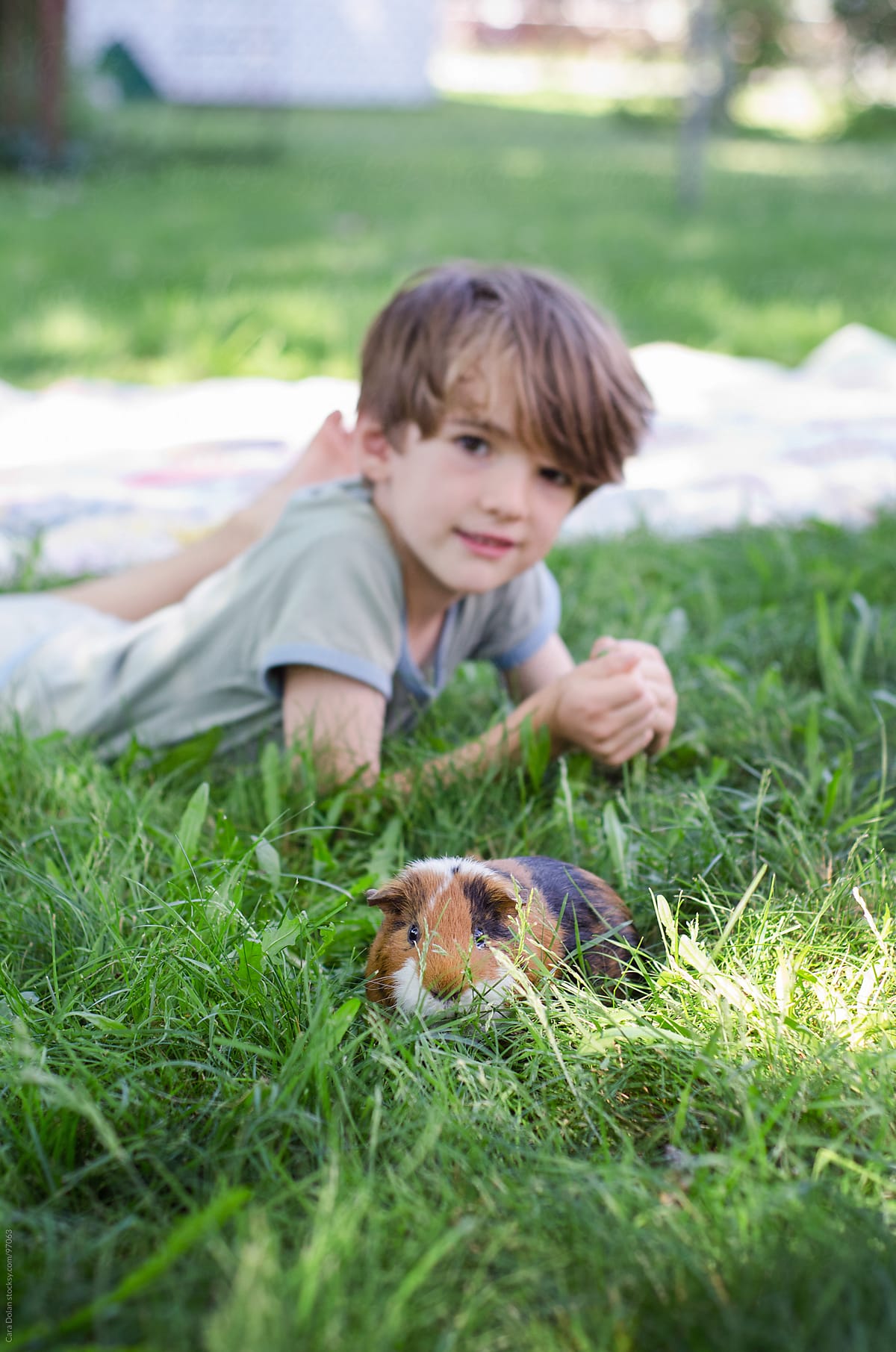 Boy and his pet guinea pig play together in backyard