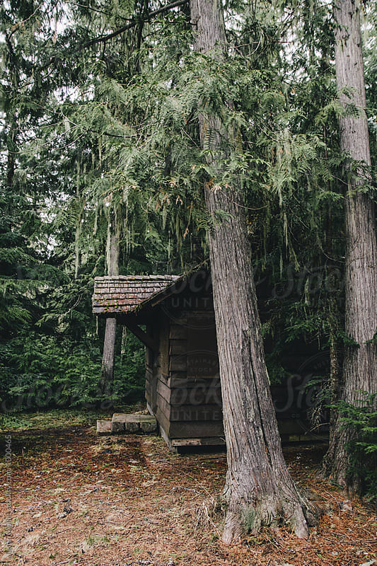 Old Forest Service Cabin
