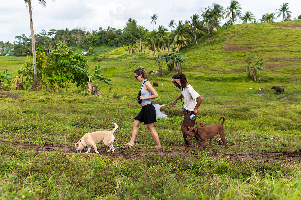 Volunteer group walking rescued dogs by tropical pathway