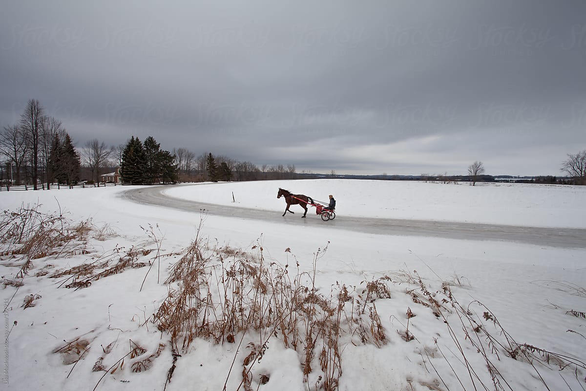 horse and sulky rider on icy path on stormy winter day
