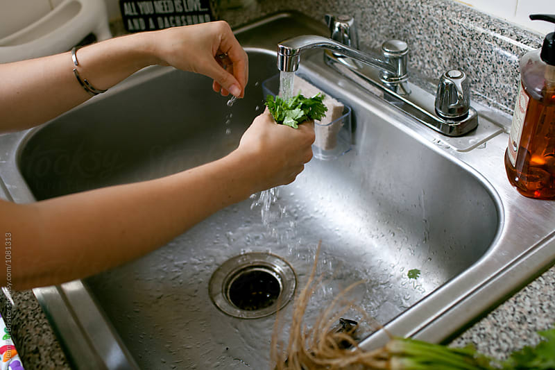 Woman washing cilantro in sink
