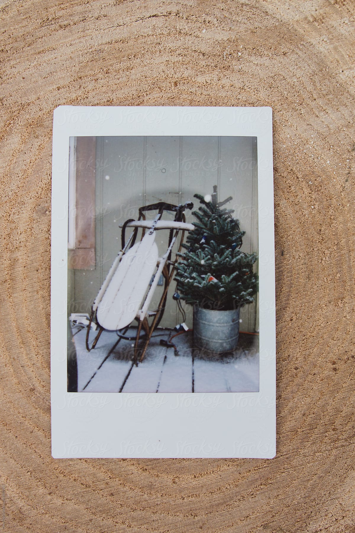 polaroid image of old sled and Christmas tree on porch