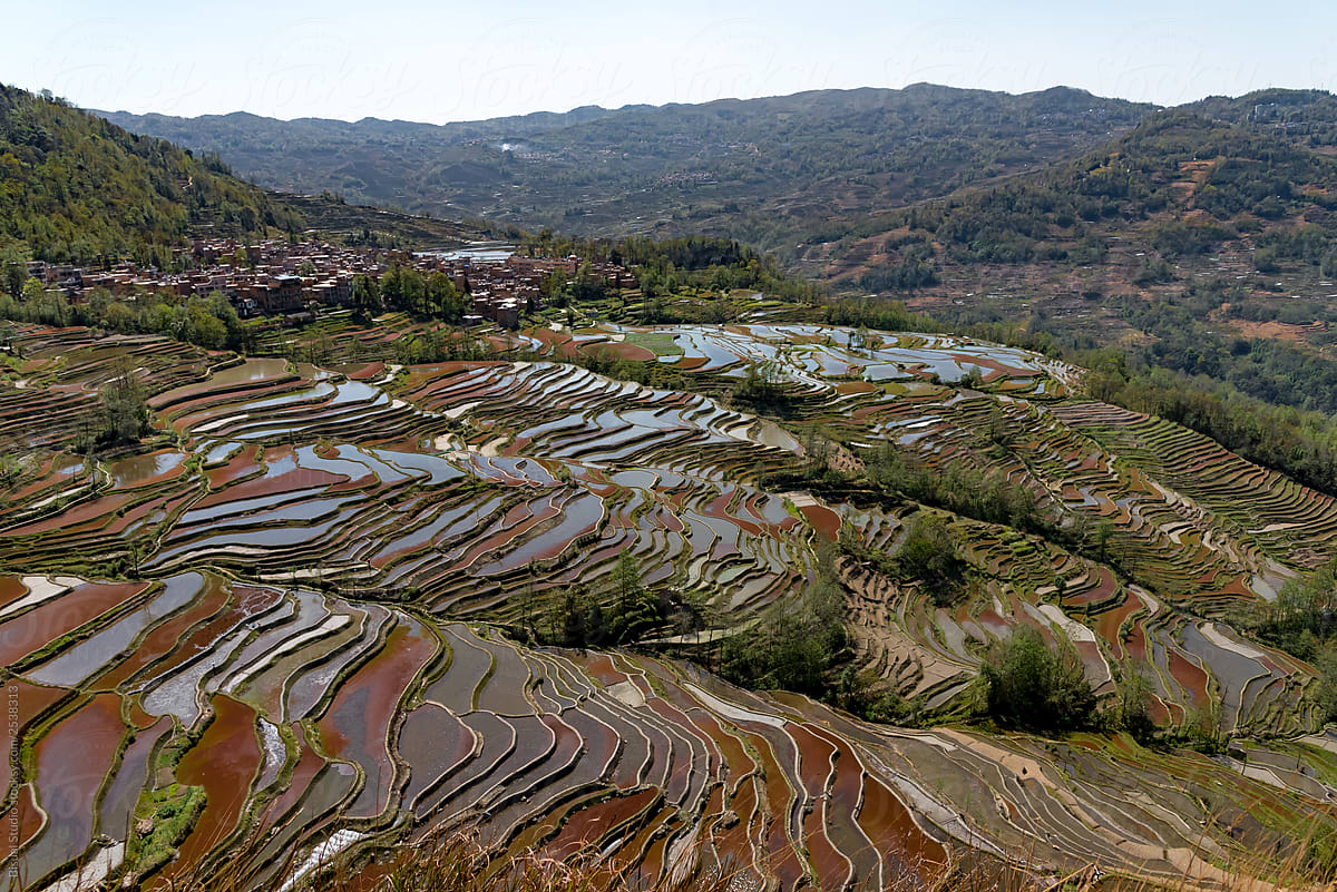 View on rice terraces