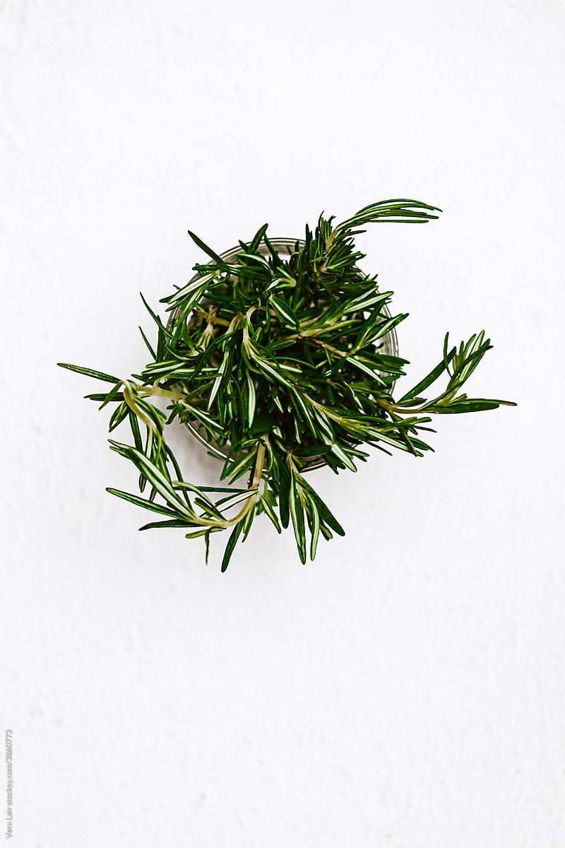 Rosemary bouquet on textured background