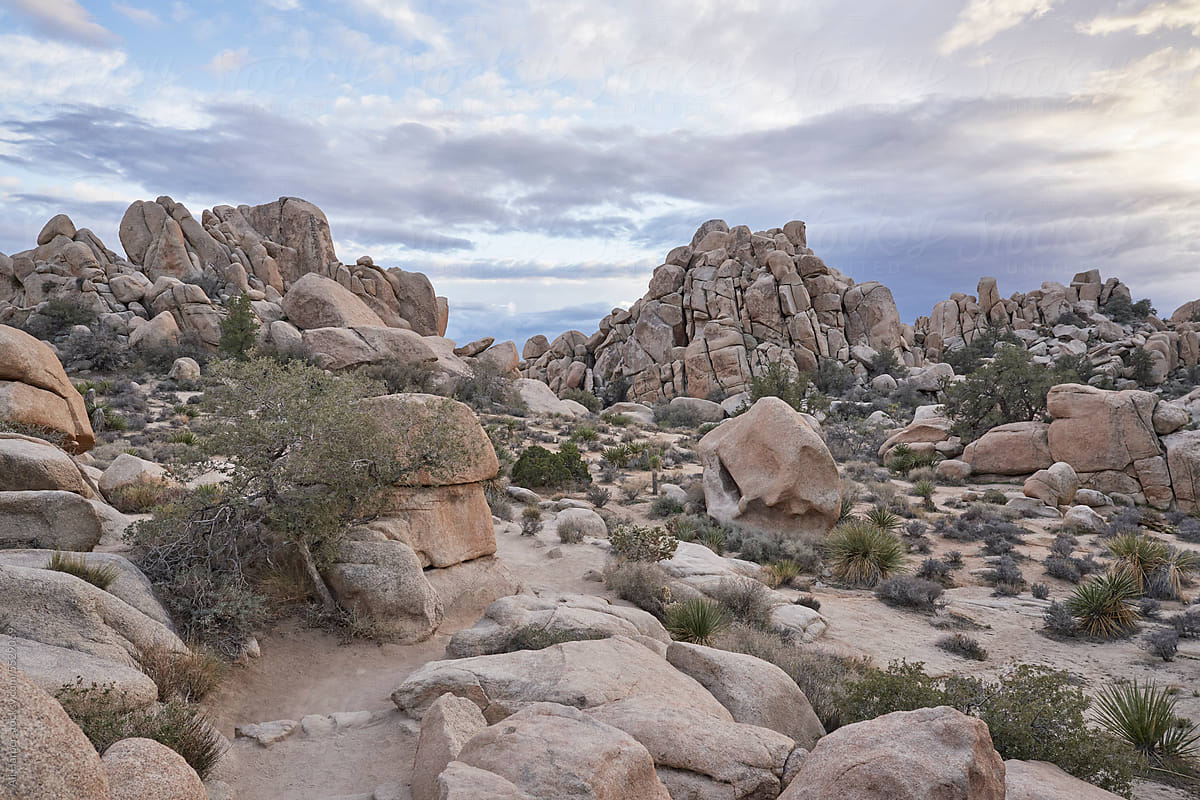 Father and son hiking amongst boulders in Joshua Tree National Park