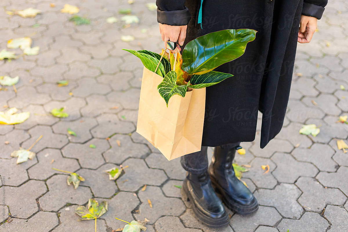the girl\'s hand holds a bag with a flowerpot