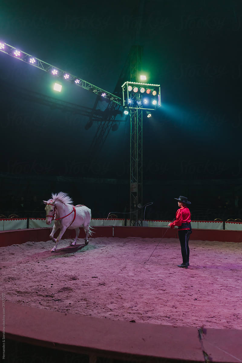 Woman Performing With Horse On Circus Stage