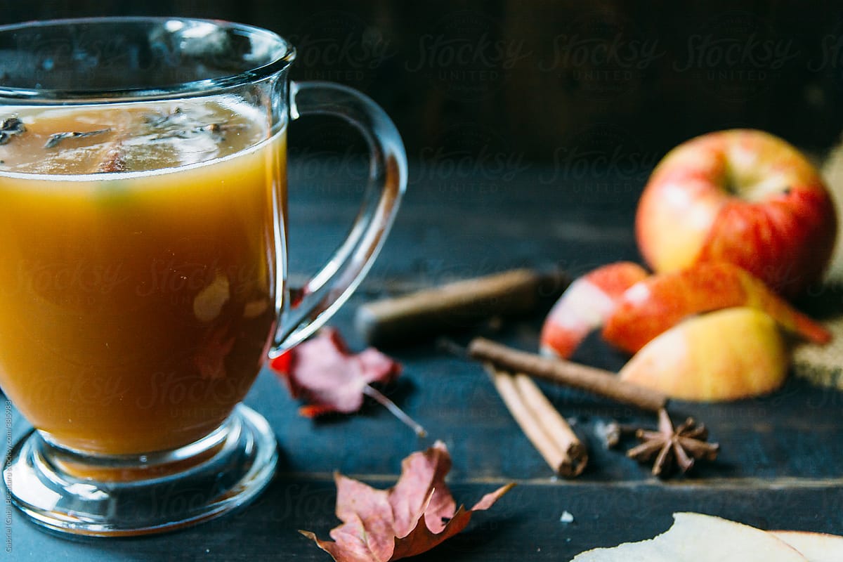 Freshly pressed apple cider in a cup with cinnamon, clover and anise seed