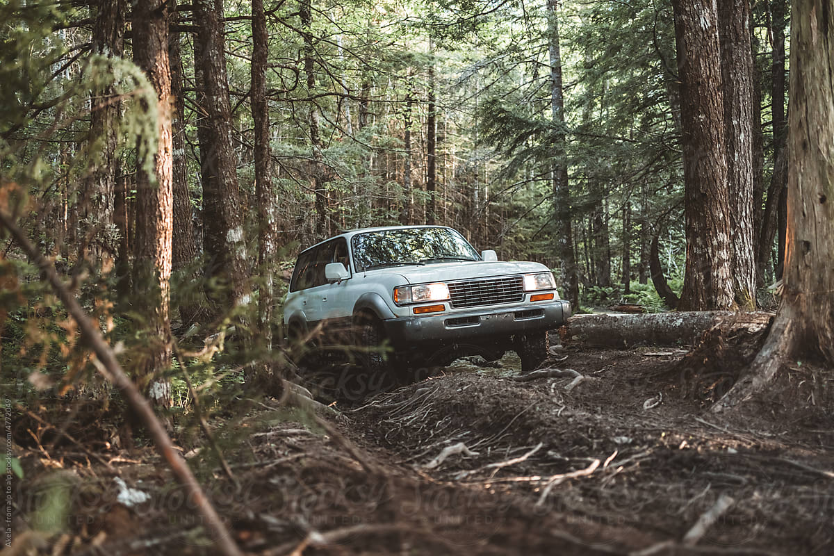 forest offroading