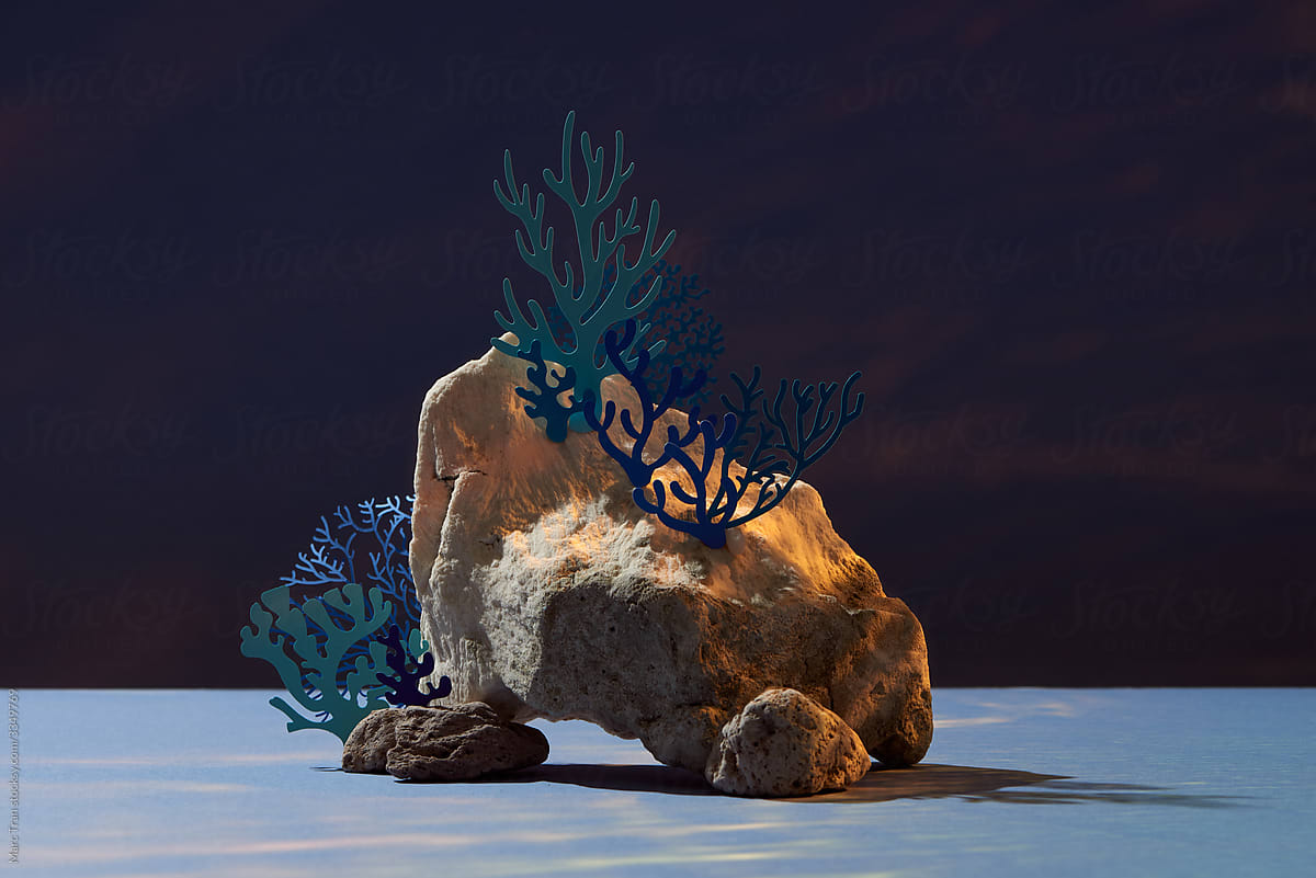 Underwater world with rocks, seaweed and coral