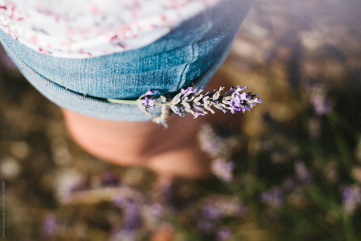 A sprig of lavender tucked into the turn-ups on denim shorts