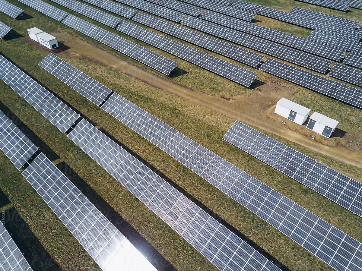 Solar power plants installed in special farm.