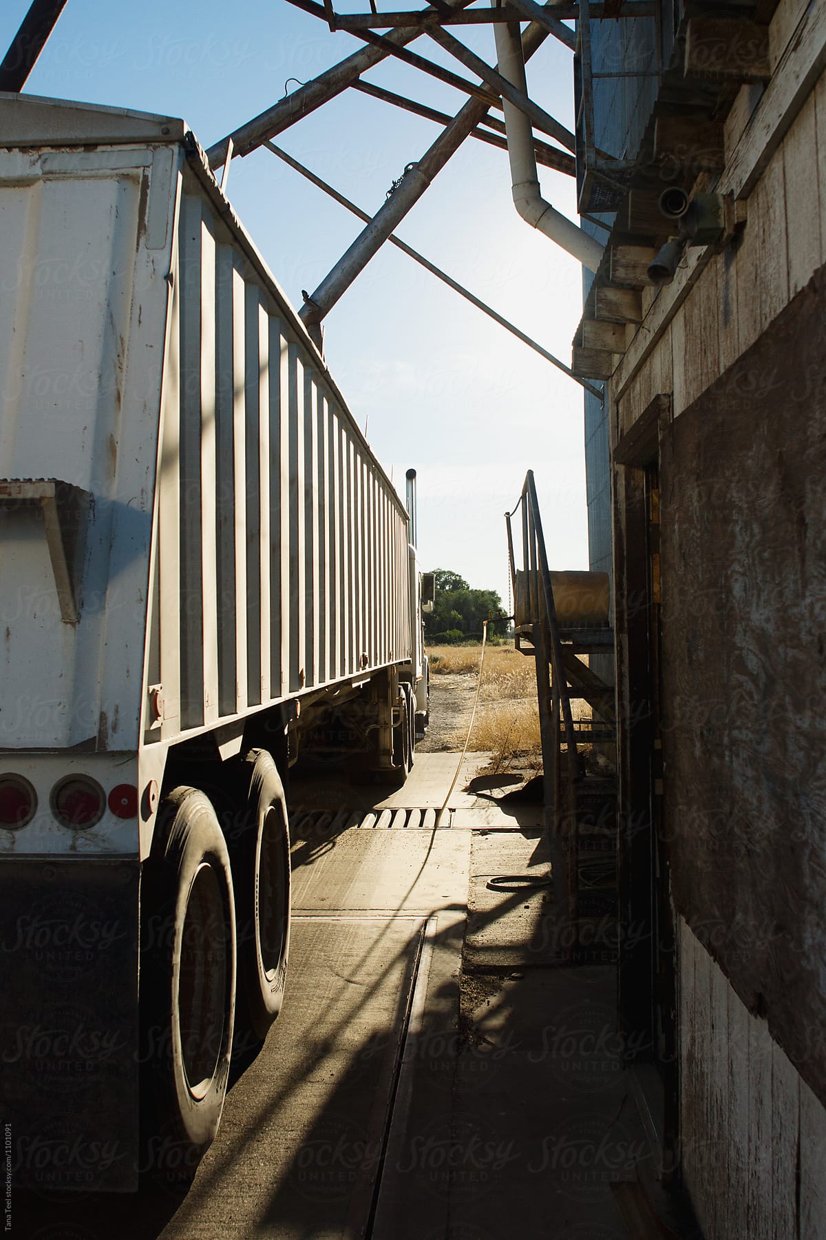 trailer emptying grain