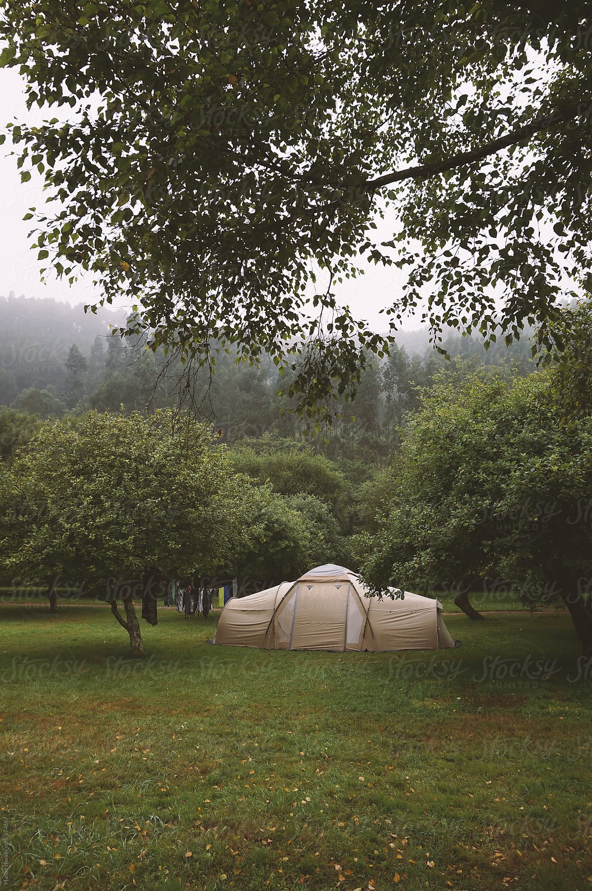 Tent on a campsite