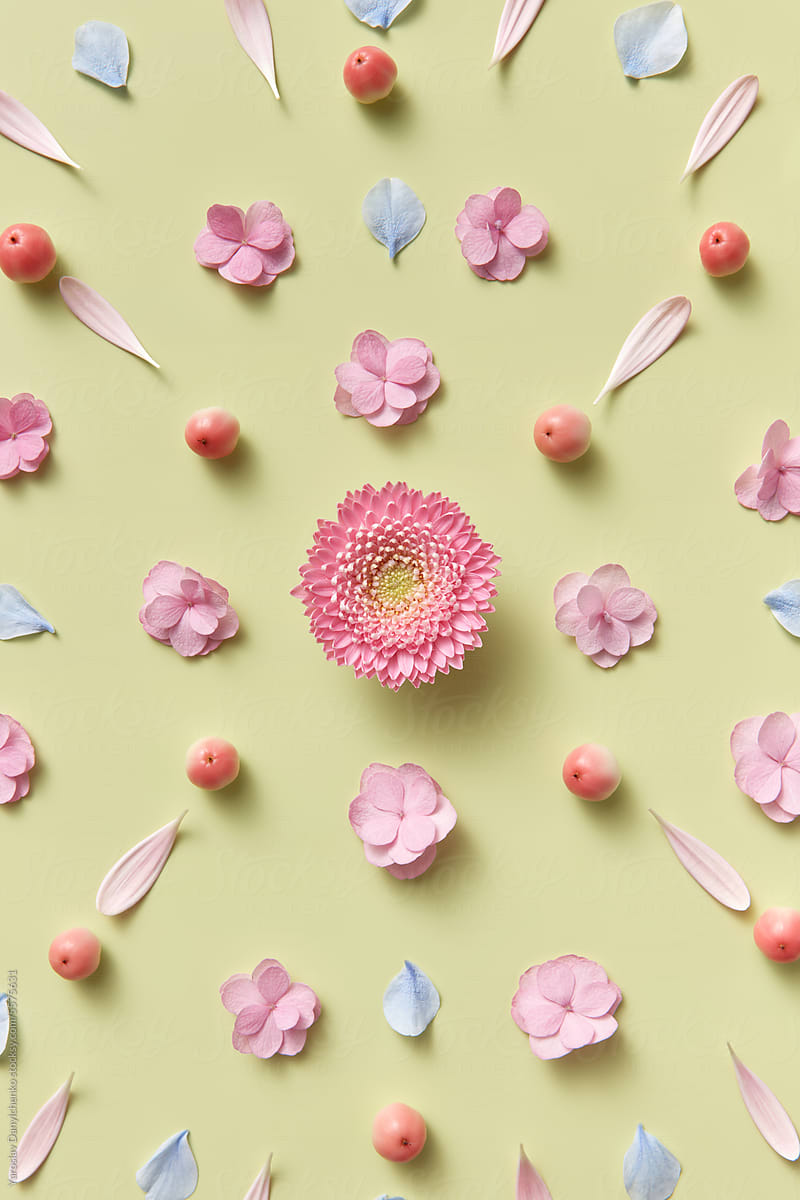 Creative arrangement of spring flowers, petals and apples