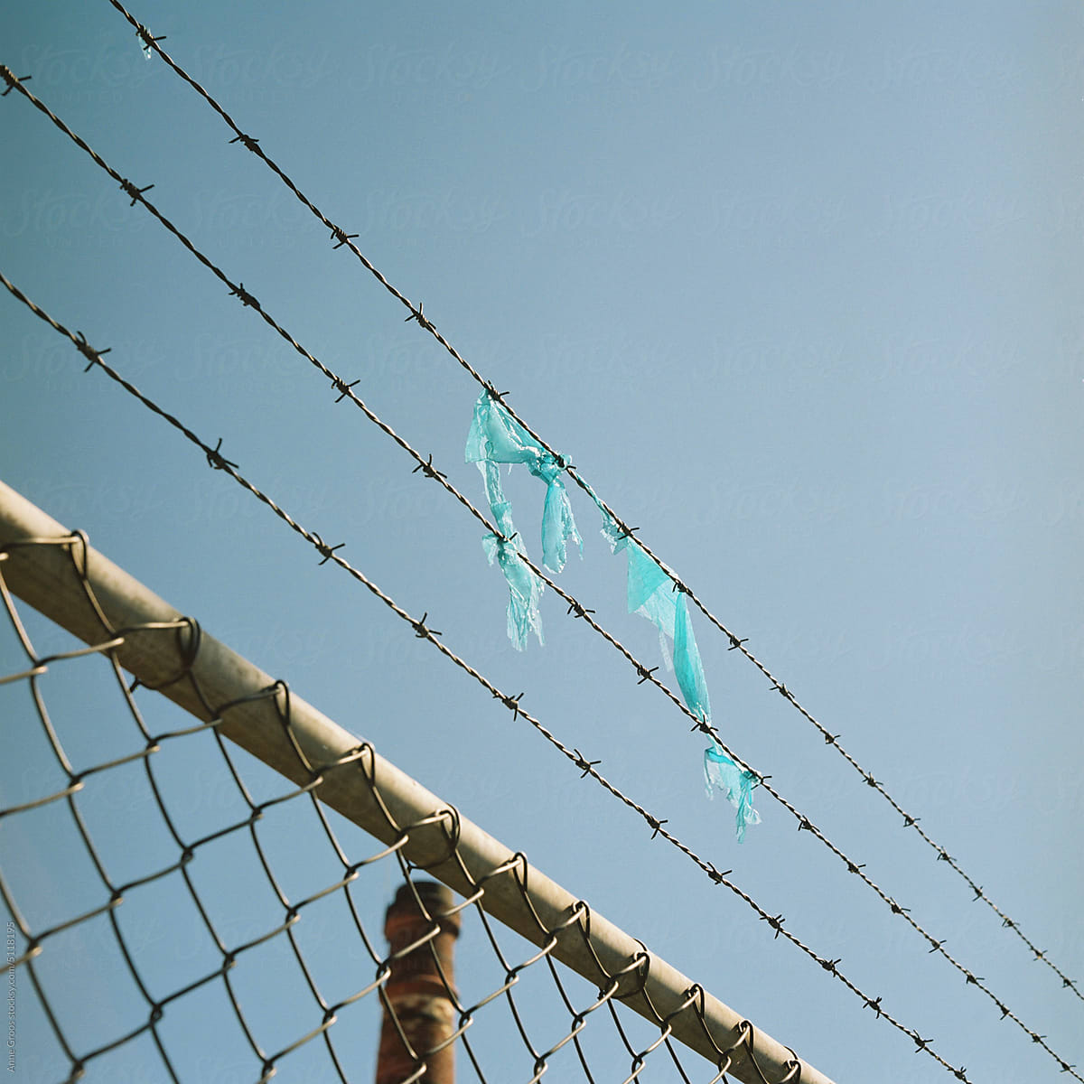 Plastic stuck in barbed wire