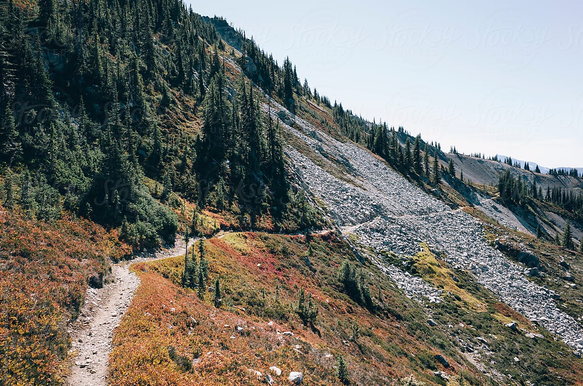 Hiking trail extending through expansive alpine meadow, Pasayten Wilderness, Washington