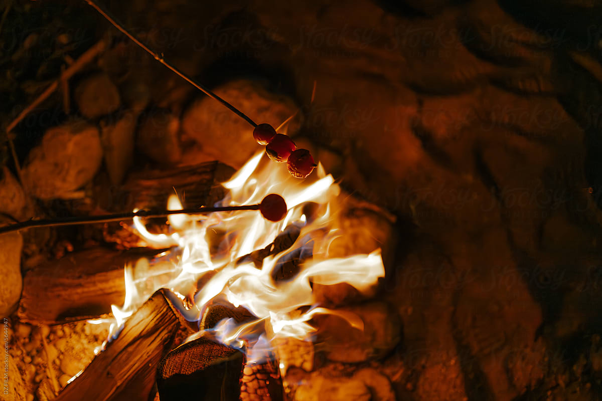 Marshmallow over the fire