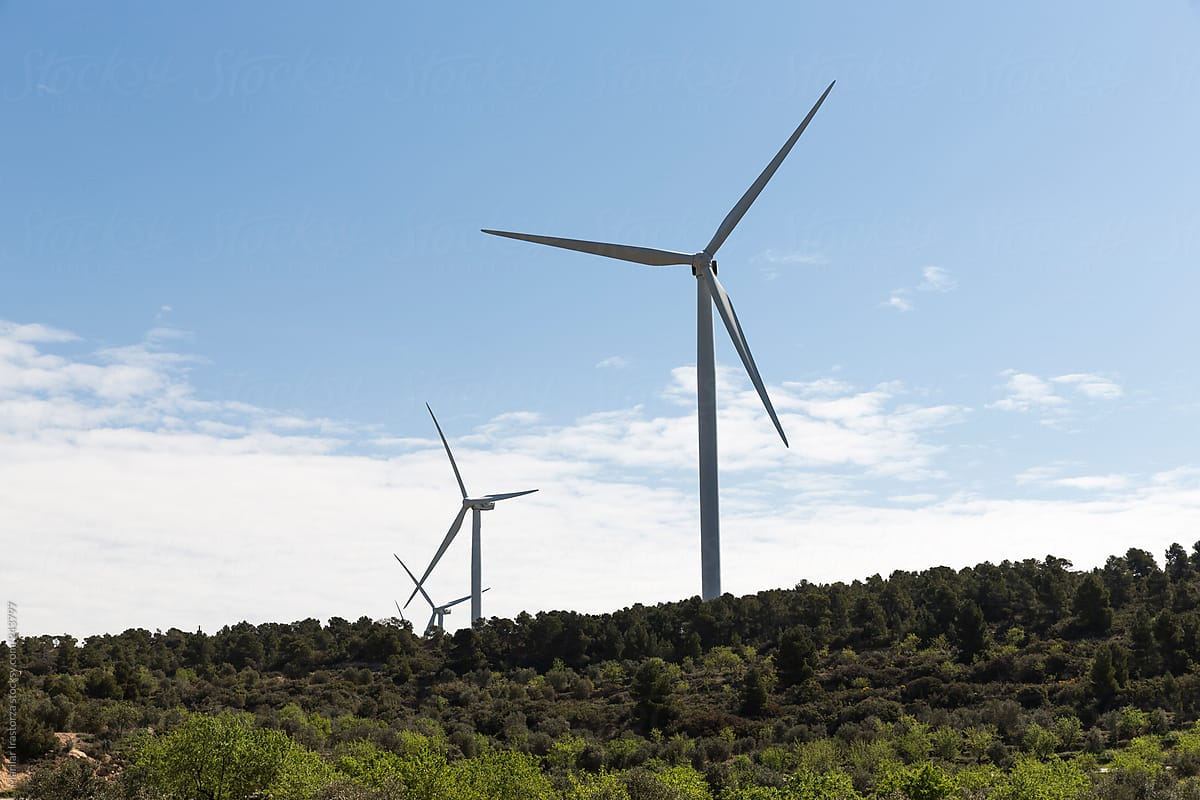 Windmills for sustainable renewable energy in rural landscape