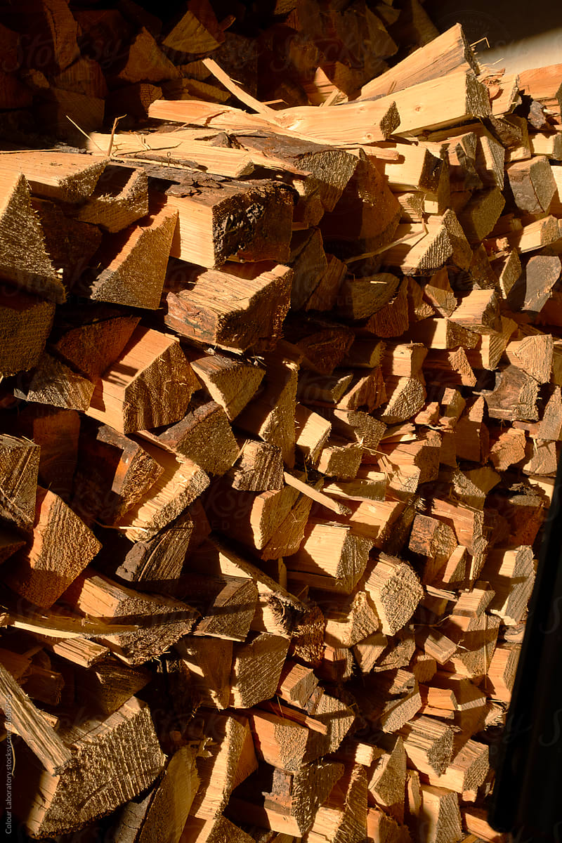 A lot of stacked firewood and golden hour sunlight
