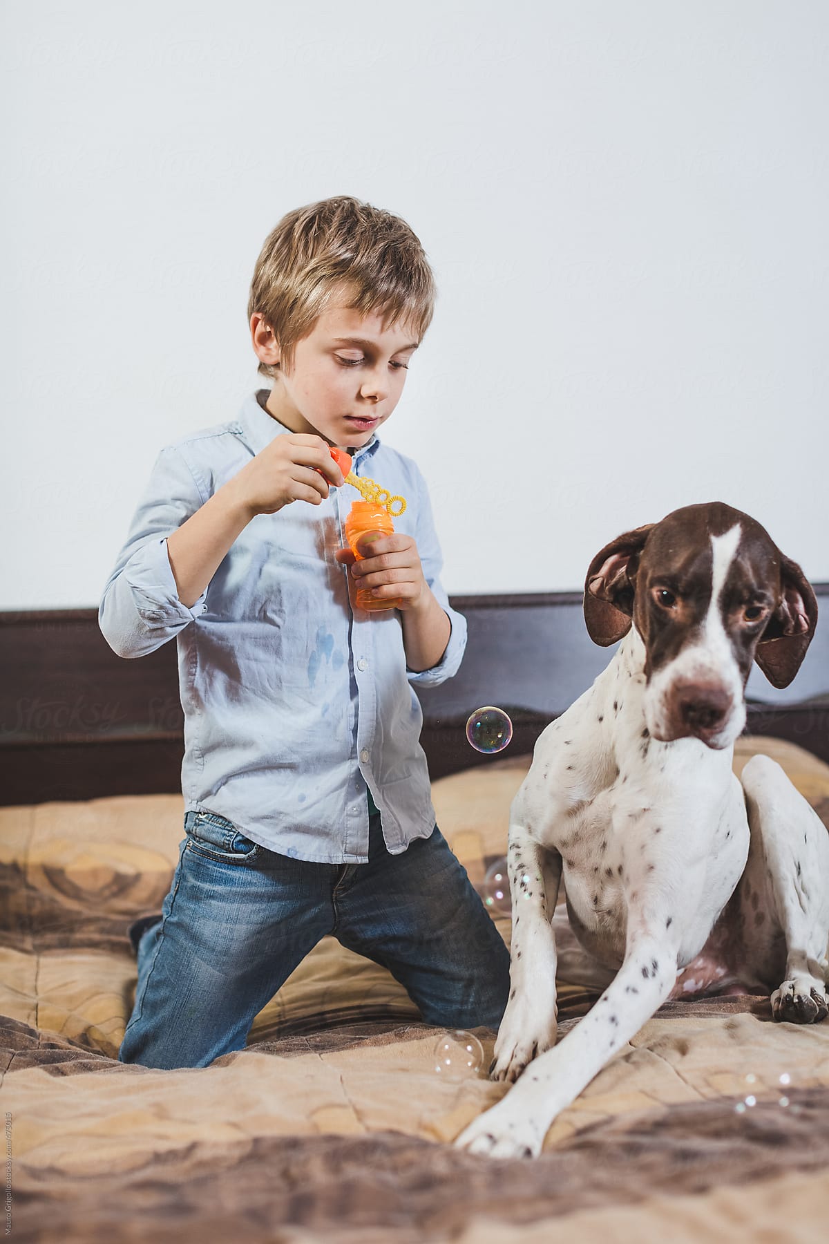 Young boy playing with bubbles with his dog